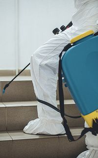 A pest controller fumigating